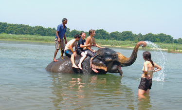 elephant-bathing