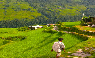 poon-hill