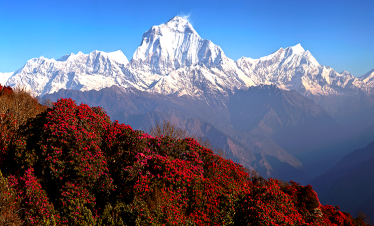 poonhill-trekking