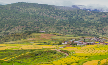 tour-to-bhutan